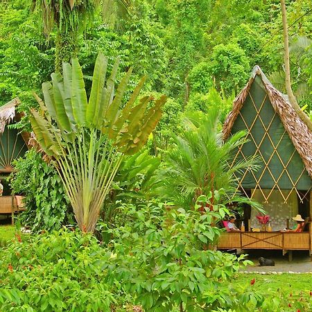 Finca Exotica Eco Lodge Carate 외부 사진