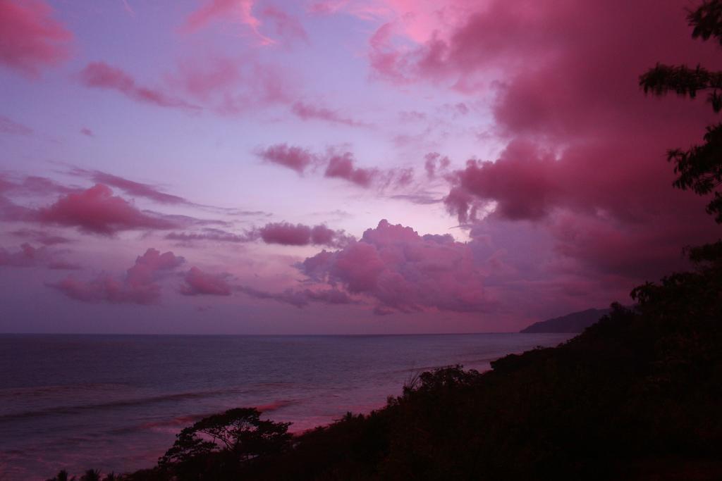 Finca Exotica Eco Lodge Carate 외부 사진