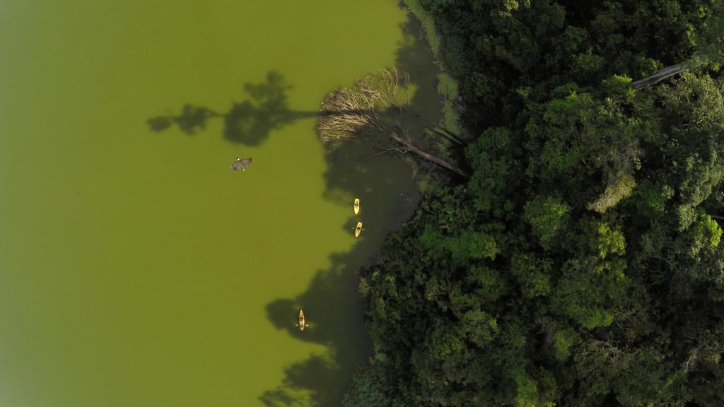 Finca Exotica Eco Lodge Carate 외부 사진