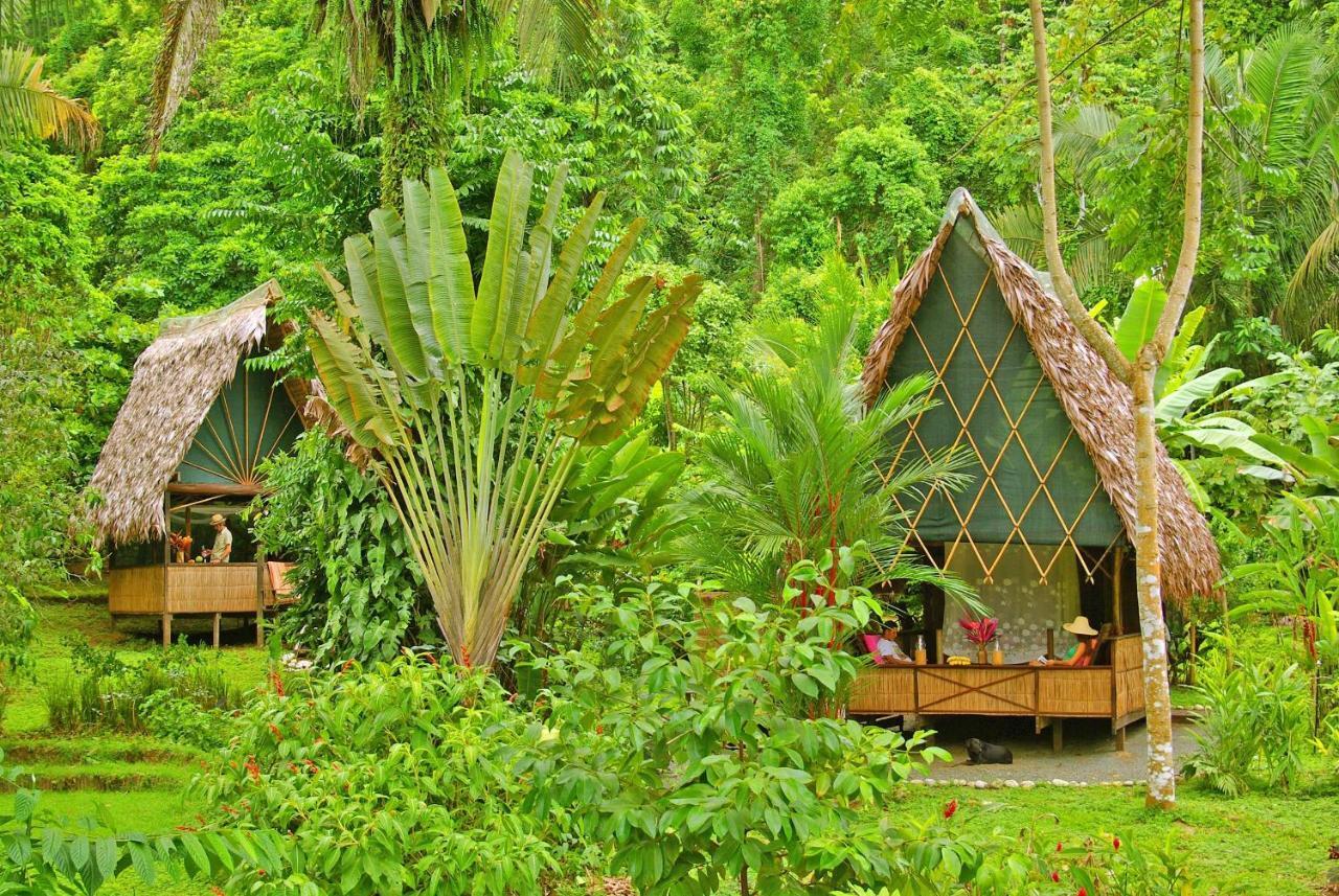 Finca Exotica Eco Lodge Carate 외부 사진